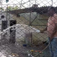 Special arrangements at Bathinda zoo to protect wildlife from rising heat