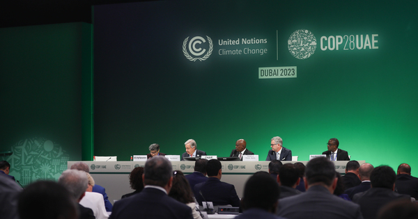 COP28: 120 countries back goal to treble renewables capacity, but fears grow over 1.5C goal - Vimarsana News
