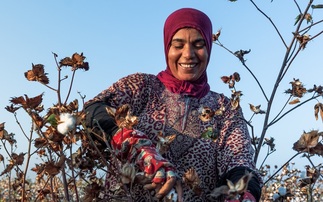 CottonConnect: 270,000 women given climate-smart farming training in 2023-24