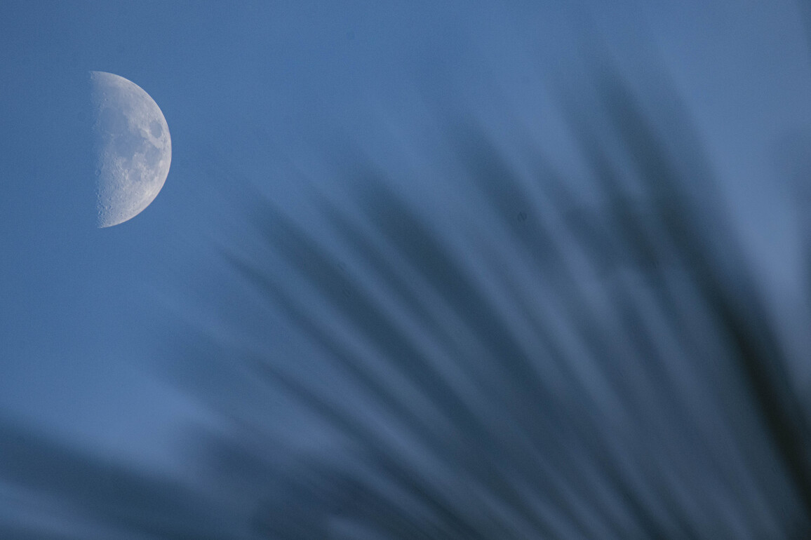 #CHINA-ASTRONOMY-FIRST QUARTER MOON (CN)