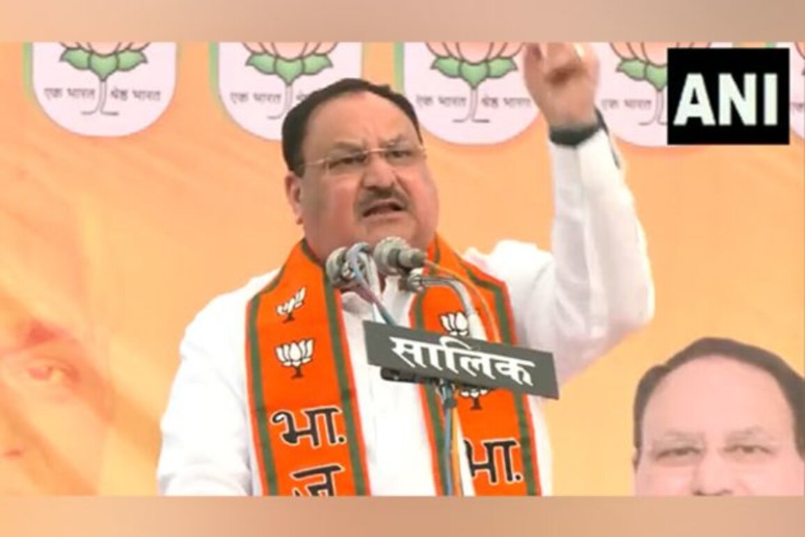 BJP Chief targets Congress in Chhattisgarh, says "party robs people's right"