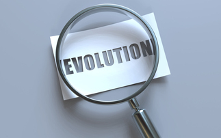 Most believe professional trustee role needs to 'evolve'