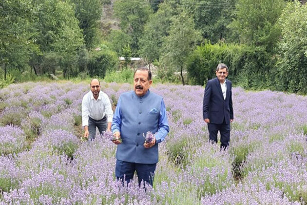 Lavender gave small J&K town of Bhaderwah national identity, role in India's economic growth: Jitendra Singh