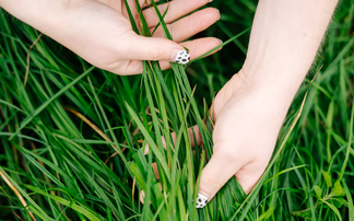 Regular audits to reduce dairy farm carbon footprints