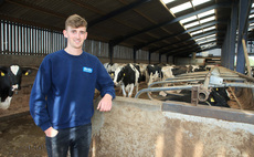 Leicestershire Guernsey and Holstein herd performs well in the show and sale rings