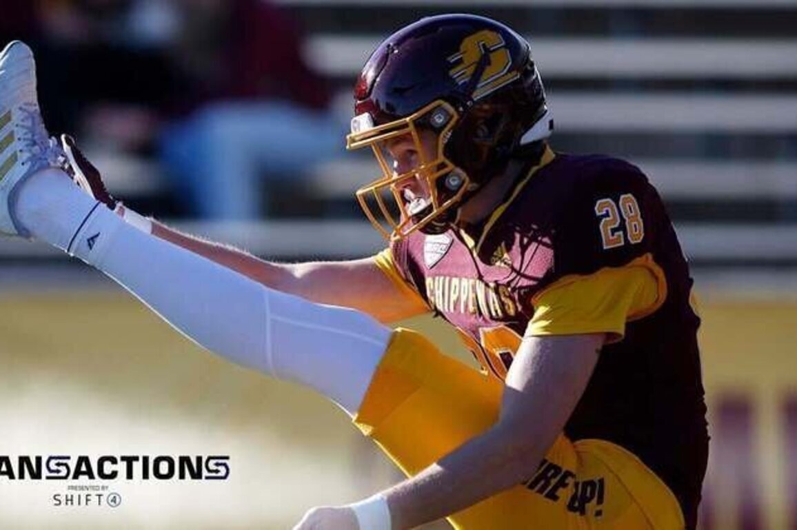 Ravens Sign Punter Luke Elzinga