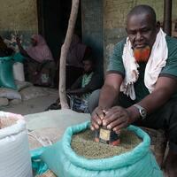 Global hunger falls in 2024, but setbacks in Africa, West Asia: UN Report