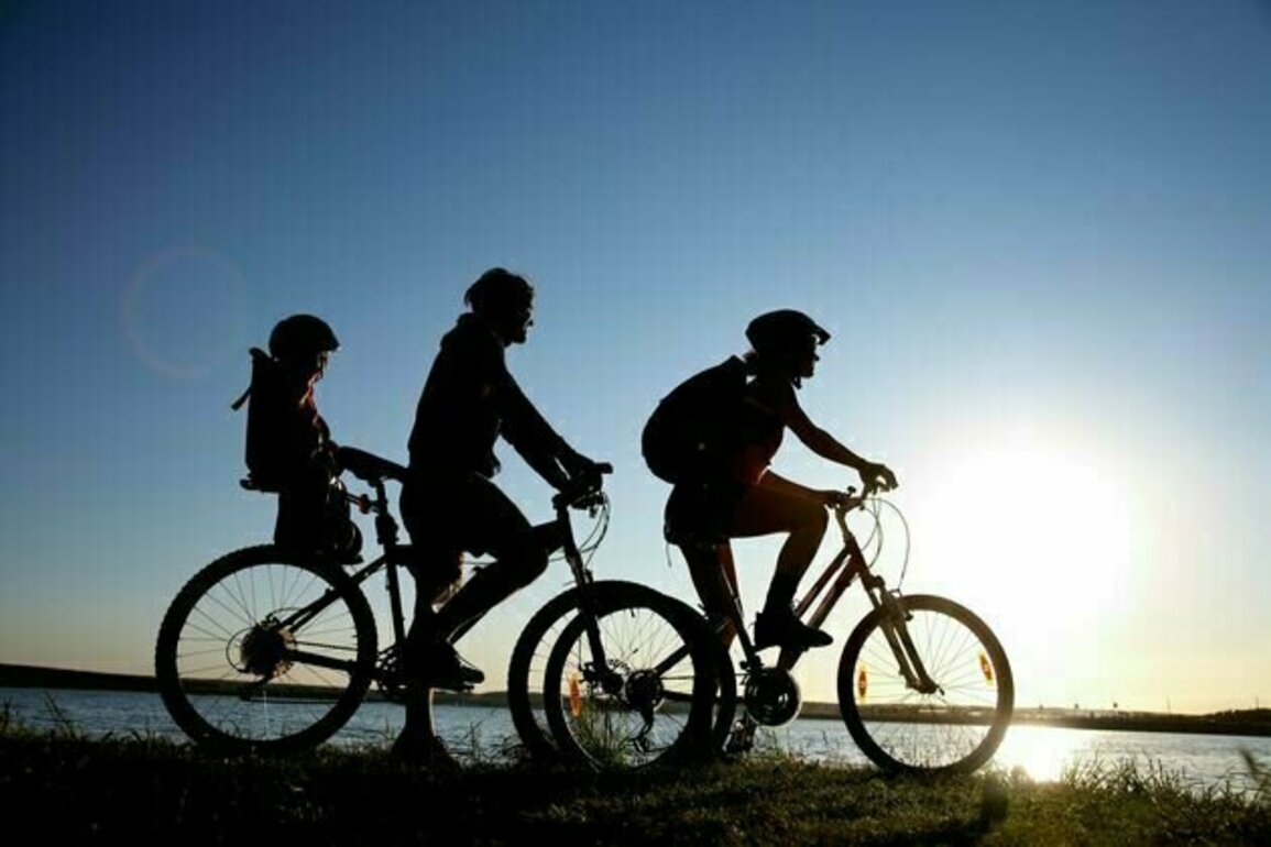 Cycling can be 4 times more efficient than walking. A biomechanics expert explains why