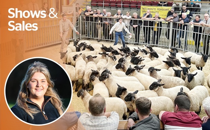 OPINION: The breeding season brings excitement, but bluetongue is testing sheep farmers