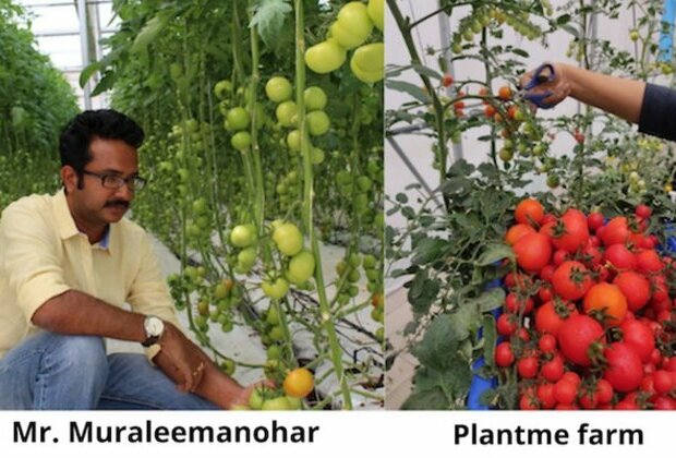 PlantMe Agro Solutions partners with cafes and resorts to provide  pesticide-free food