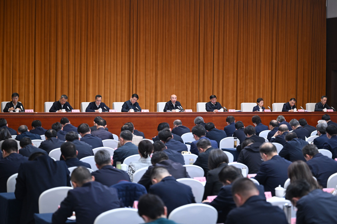 CHINA-HENAN-ZHOUKOU-VICE PREMIER-SPRING AGRICULTURAL PRODUCTION-MEETING (CN)