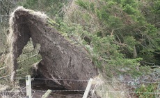 Forestry worker seriously injured in storm clean up