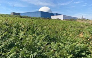 Reports: Talks underway to extend operation at Sizewell B by 20 years