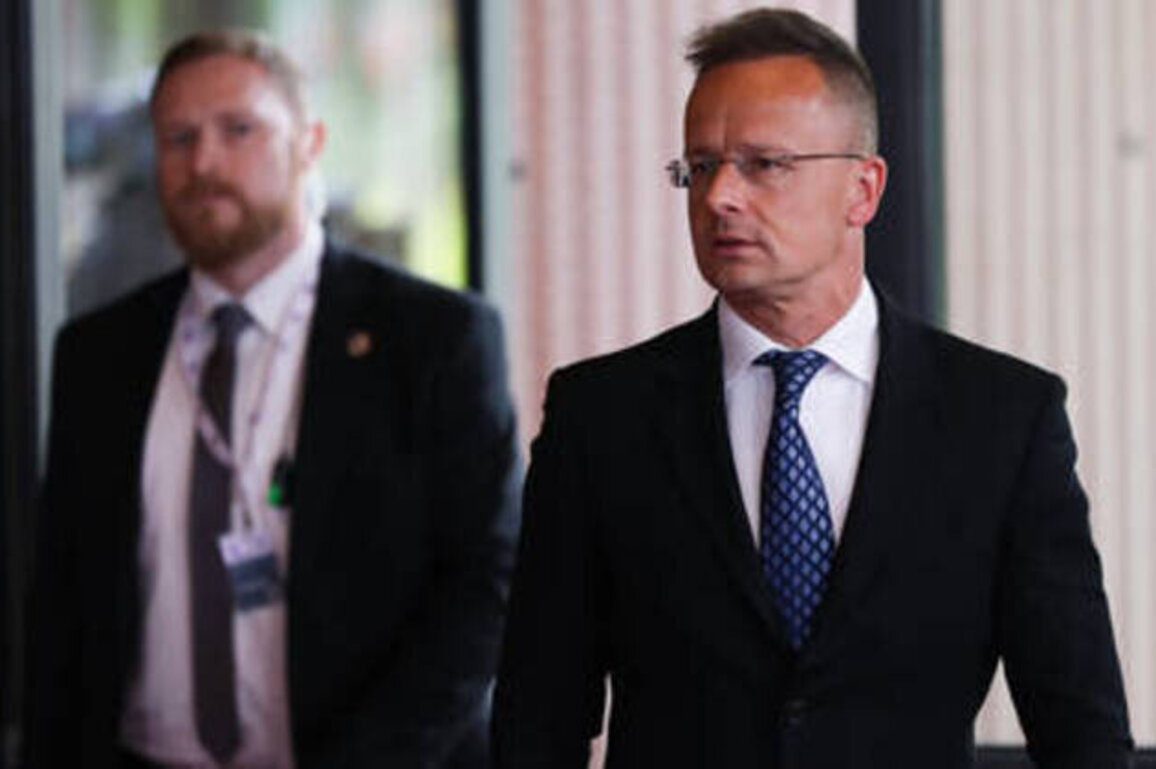 Hungary doesn't need EU's permission to meet with Russians - FM
