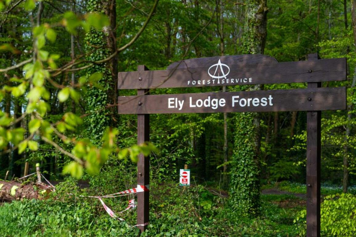 Ely Lodge- Forest Service 'seeking legal advice' on park access