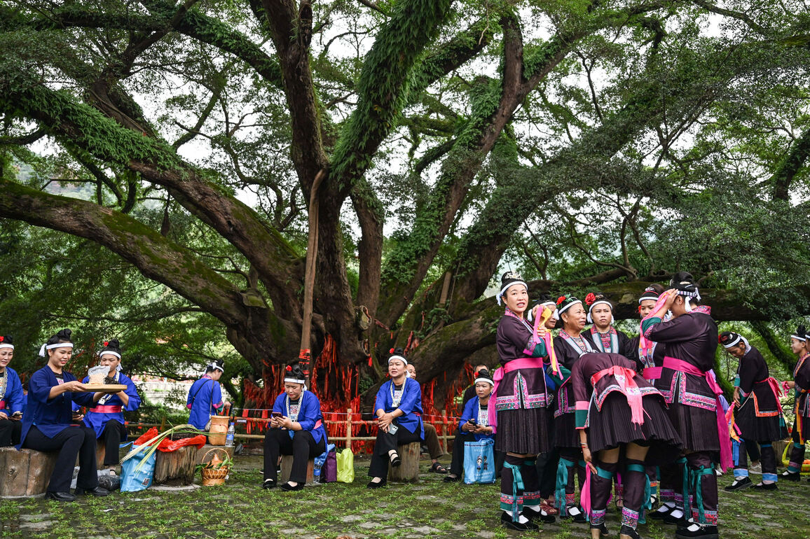 CHINA-GUANGXI-SANJIANG-HARVEST (CN)