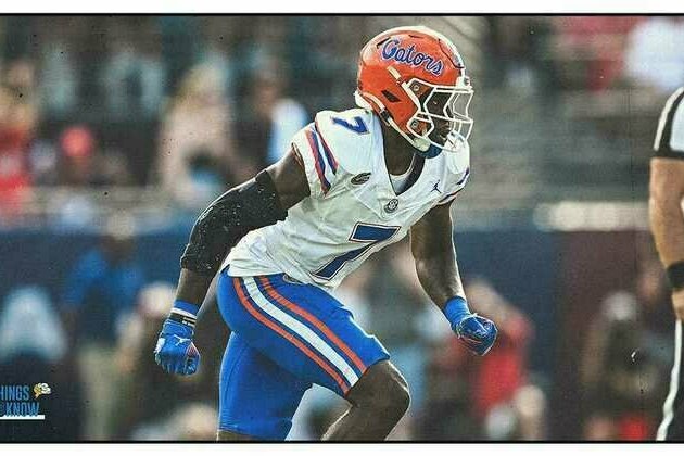 5 Things to Know About New Chargers DB Trikweze Bridges