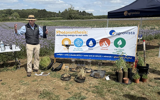 How to optimise photosynthesis in your cropping system