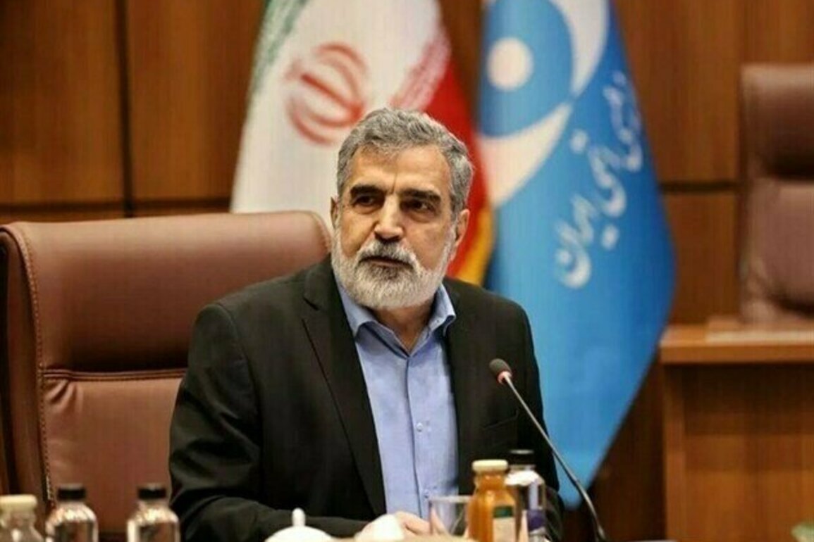 Iran Plans New Nuclear Power Plants in South With Russian Cooperation