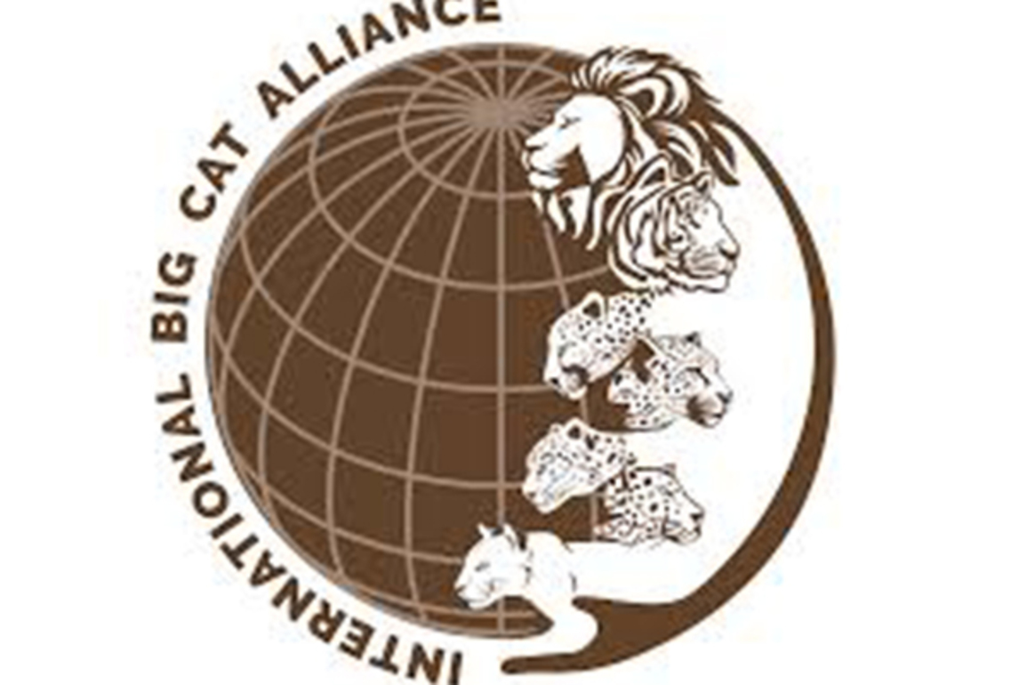 India extends UN Act privileges, immunities to International Big Cat Alliance