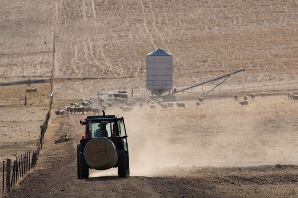 BOM said El Niño often brings drier conditions to central and eastern Australia in winter and spring, but not always. 