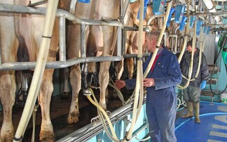 ' may expect a bumpy ride' - Global milk supplies race ahead