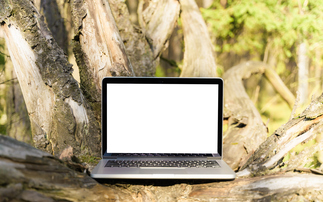 How 'lightweight' web pages and tackling 'dark data' can help businesses cut web-based emissions