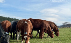 Monitor Farms Scotland: Trialing new technology on Scottish hill farm