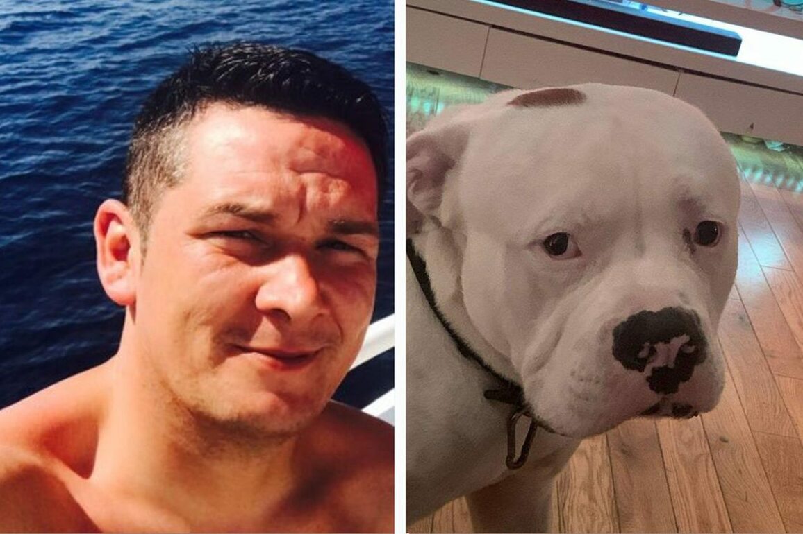 Oban man who strangled dog could face jail, sheriff warns