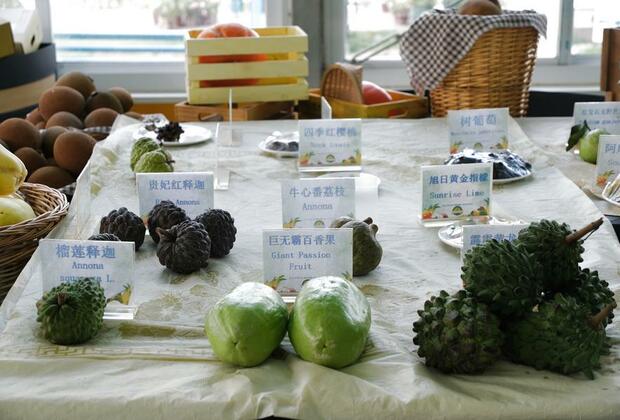 Hainan's exotic fruit "window" boosts south China rural revitalization