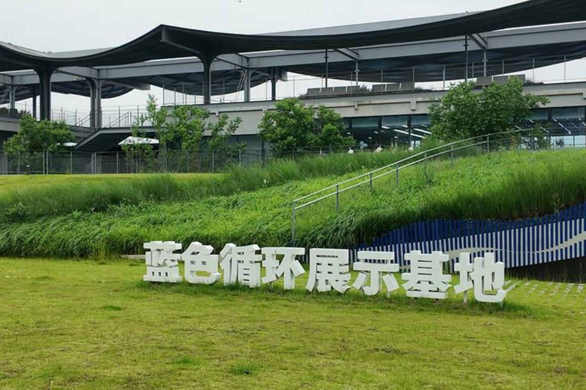 Chinese island's ocean-friendly changes deliver dual gains in ecology, economy