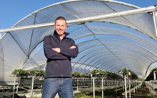 In your field: Dan Hawes - "February is an important month for us in the strawberry propagation world"