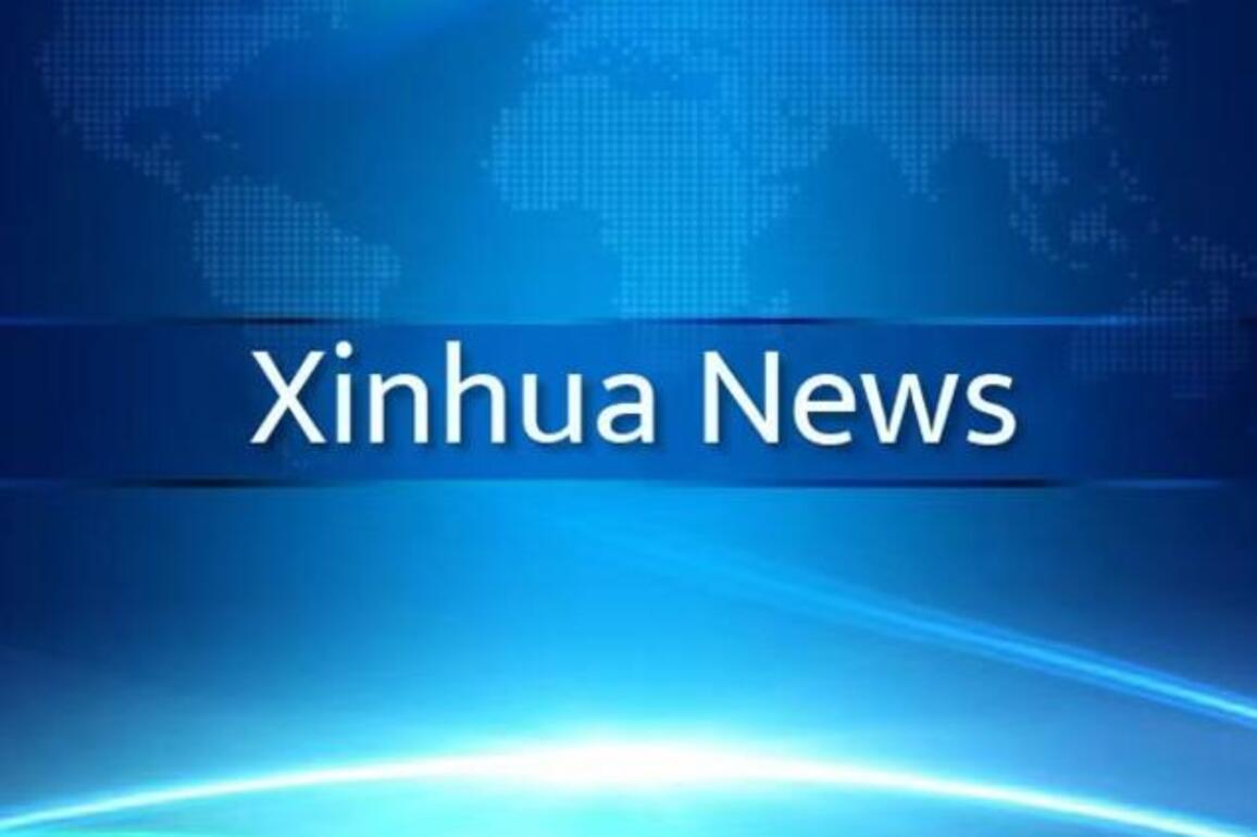 Update: China ready to work for steady, sound ties with Canada: FM
