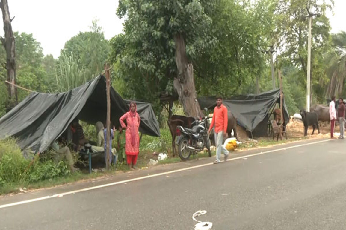 Punjab: 37 lives lost due to severe floods, says state government