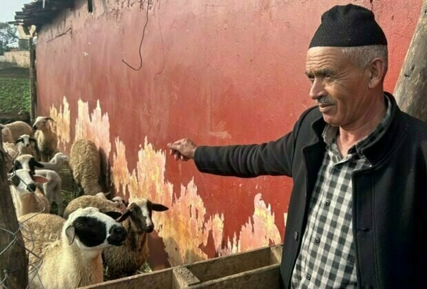 Morocco urges people to not buy sheep for Eid al-Adha celebrations