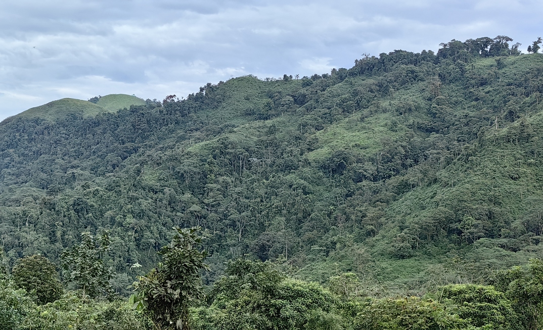 View over Cangrejos towards Gran Bestia