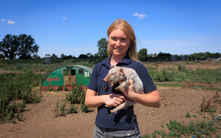 Young pig farmer creating her own success story at 23