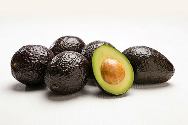 Westfalia Avocado new season launched in India