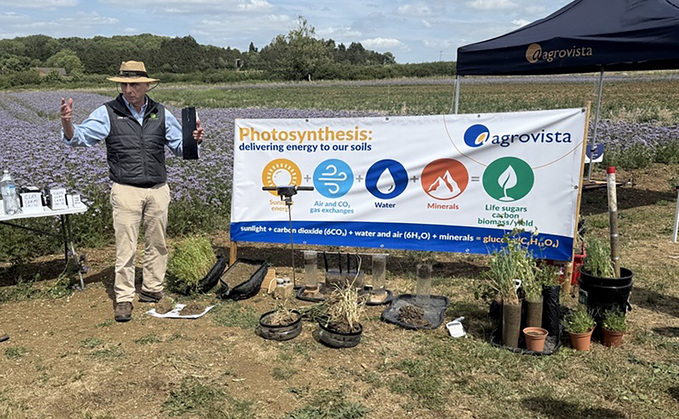 How to optimise photosynthesis in your cropping system