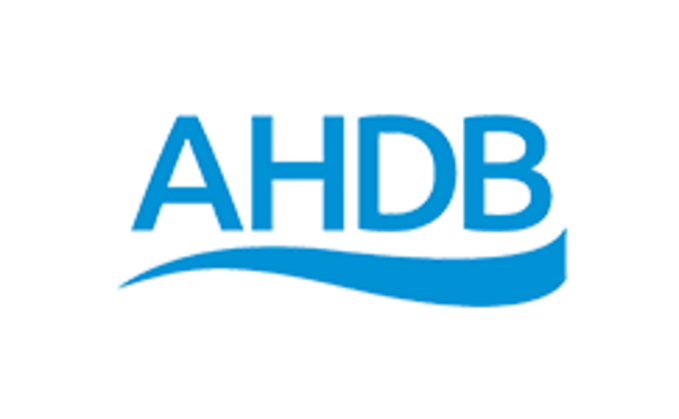 AHDB reviews leadership structure 