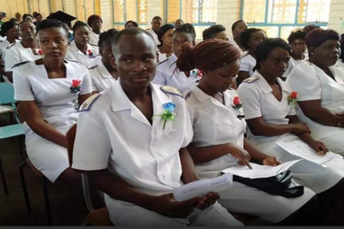 Zimbabwe's Ministry of Health warns public about nurse recruitment scam -  Bulawayo24 News