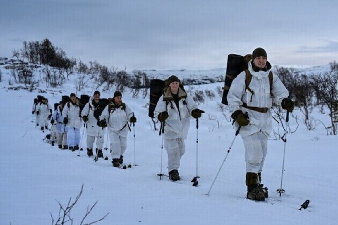 Minnesota Guard strengthens partnership, trains in Norway's arctic environment