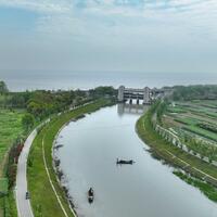 Youth drive green cooperation between China and Africa
