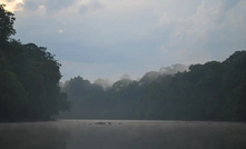 Floresta nacional (Flona) do Amapá