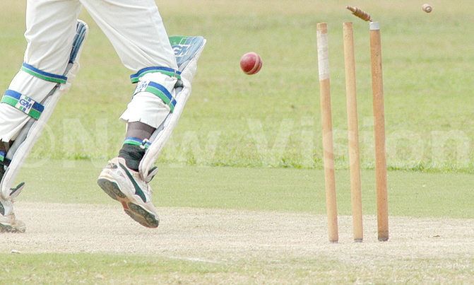 Tornado: A return to topflight cricket on cards Tornado: A return to topflight cricket on cards