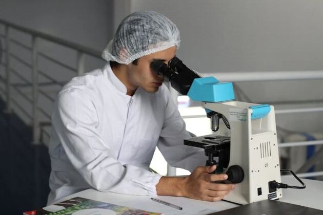 Scientists uncover cellular "toolkit" to reprogram immune cells for cancer therapy: Study