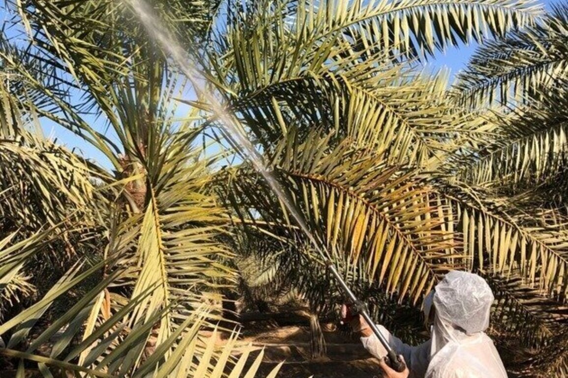 ADAFSA reaffirms commitment to strengthening food security through plant protection
