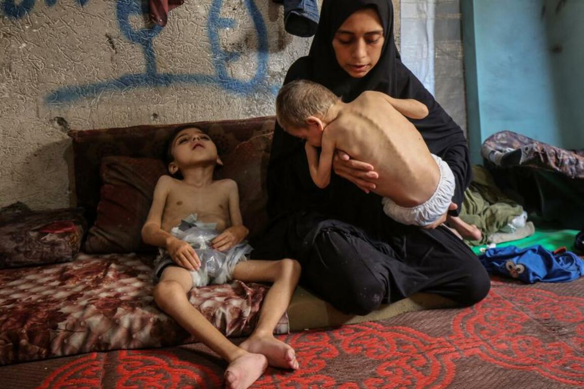 Xinhua Commentary: Don't let peace in Gaza become a castle in the air