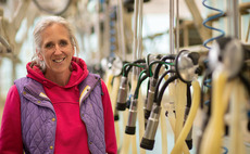 Dairy farm continues in husband's memory
