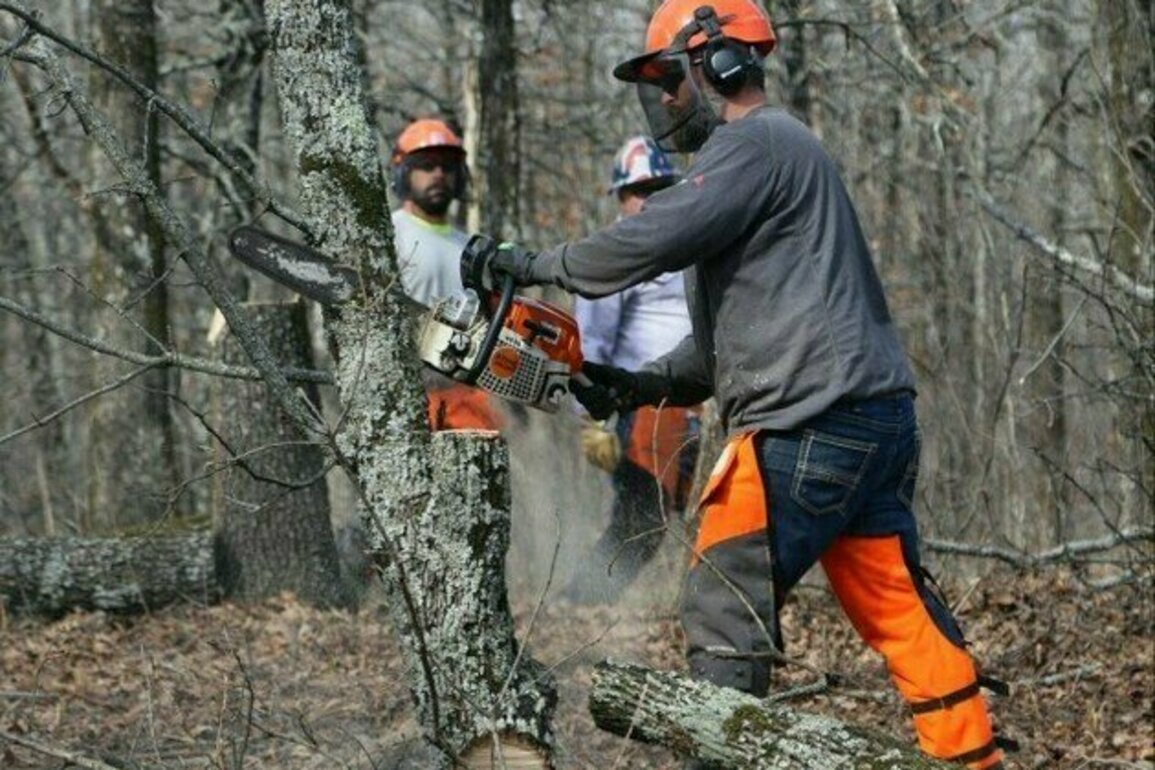 Cutting risks - Tulsa District holds chainsaw safety training at Fort Gibson Lake